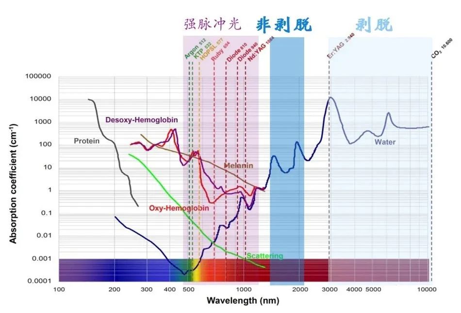 微信圖片_20240708182244.jpg